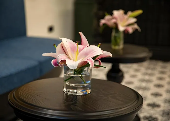 Essence Khách sạn